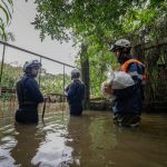 Saiba como ajudar os moradores das ilhas de Porto Alegre