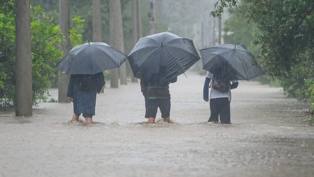 Chuva supera 200 mm no estado e vários rios vão entrar em cheia