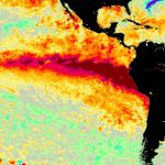 Estael Sias: chuva extrema marca o começo dos efeitos do El Niño