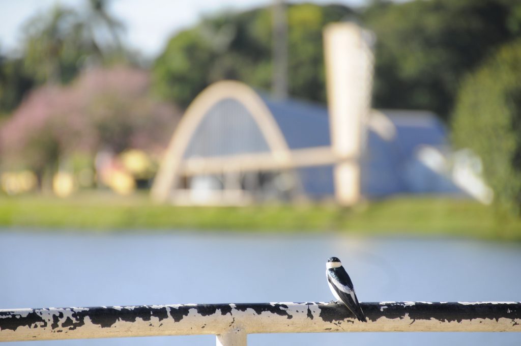 Minas Gerais registra 43ºC, Belo Horizonte tem 38,6ºC e calor aumentará