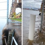 Confira o antes e depois da régua de medição do Guaíba no Centro