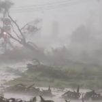 Vendavais de até 150 km/h atingem RS, SC, PR e MS com estragos