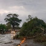 Vendavais causam estragos no interior gaúcho e risco aumenta amanhã