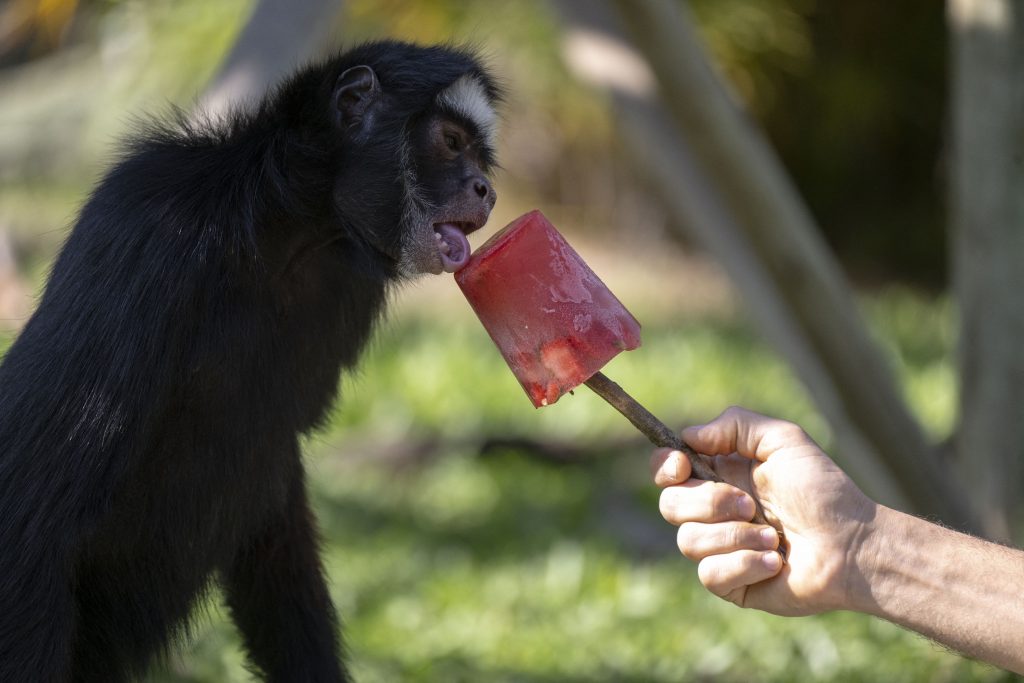 Inverno acaba com 42ºC no Brasil e primavera começa com até 44ºC