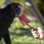 Inverno acaba com 42ºC no Brasil e primavera começa com até 44ºC