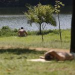 Calor ganha força e vai bater nos 40ºC em São Paulo