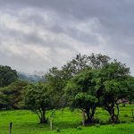 Chuva segue nas próximas horas no RS sob influência de baixa pressão