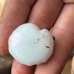 Chuva de até 100 mm, granizo e uma morte no Rio Grande do Sul