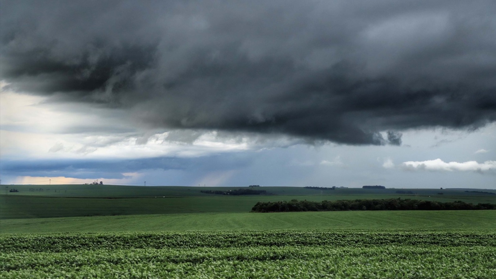 O surgimento da agricultura e do Estado