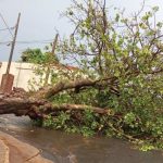 Temporais seguem no Sudeste do Brasil e podem causar mais estragos