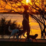 Semana que começa com sol e frio depois terá chuva e temporais