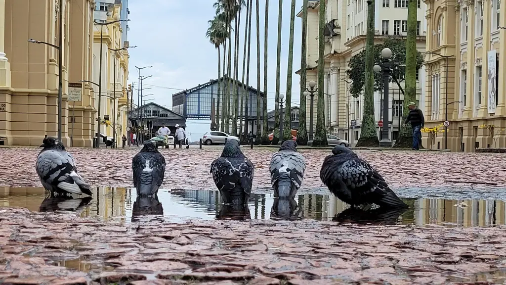 Semana no Rio Grande do Sul terá sol, novo episódio de chuva e frio