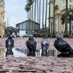 Semana no Rio Grande do Sul terá sol, novo episódio de chuva e frio