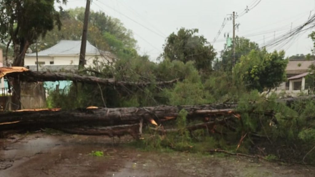 Imagens mostram estragos pelo vendaval no Noroeste gaúcho