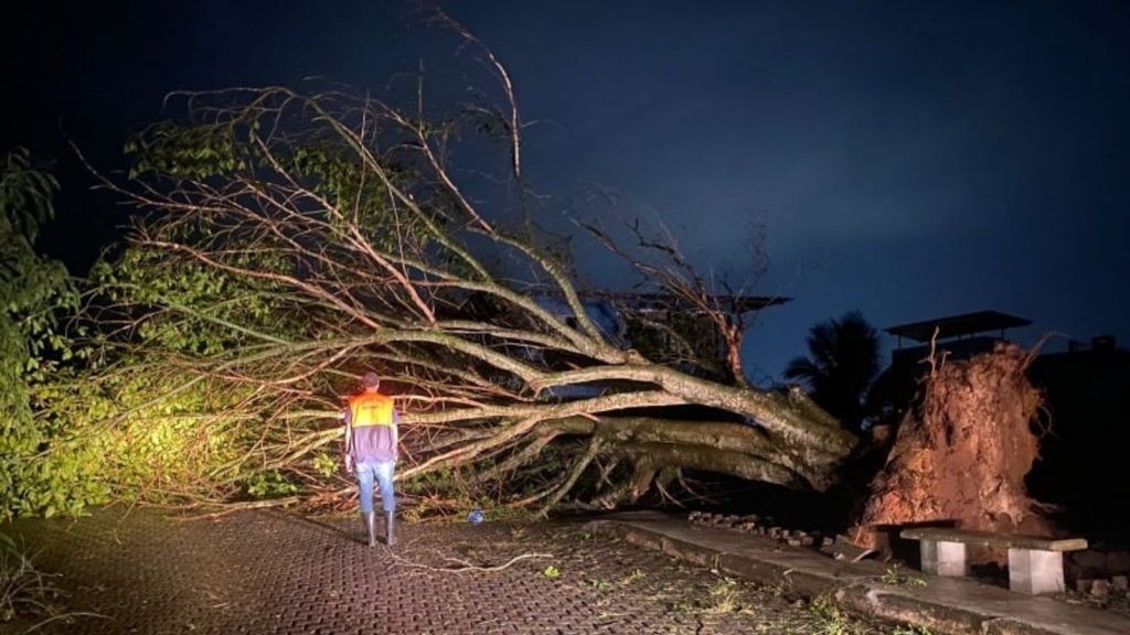 Fotos: temporais causam estragos em estados do Sudeste do Brasil