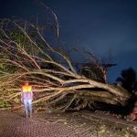 Fotos: temporais causam estragos em estados do Sudeste do Brasil