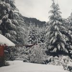 Nevasca em pleno fim de outubro na Argentina, veja fotos e vídeos