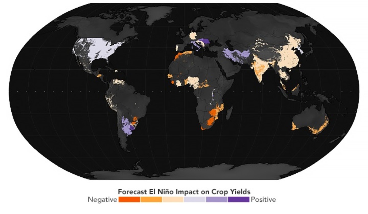 El Niño: veja vídeo sobre como fenômeno altera clima no Brasil 