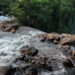 Cerrado: tema de debatida questão do Enem e a caixa d´água do Brasil