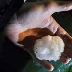 Granizo grande e vendavais espalham estragos no Rio Grande do Sul