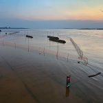 Fotos: veja como ficou a orla de Porto Alegre com a grande enchente