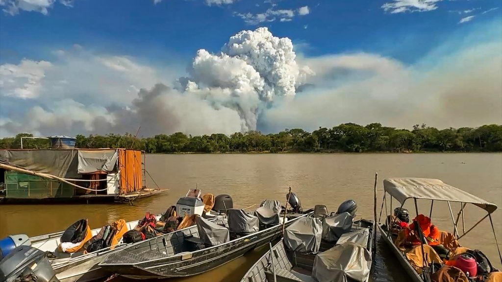 Pantanal vive dias dramáticos com novembro de fogo recorde; veja fotos