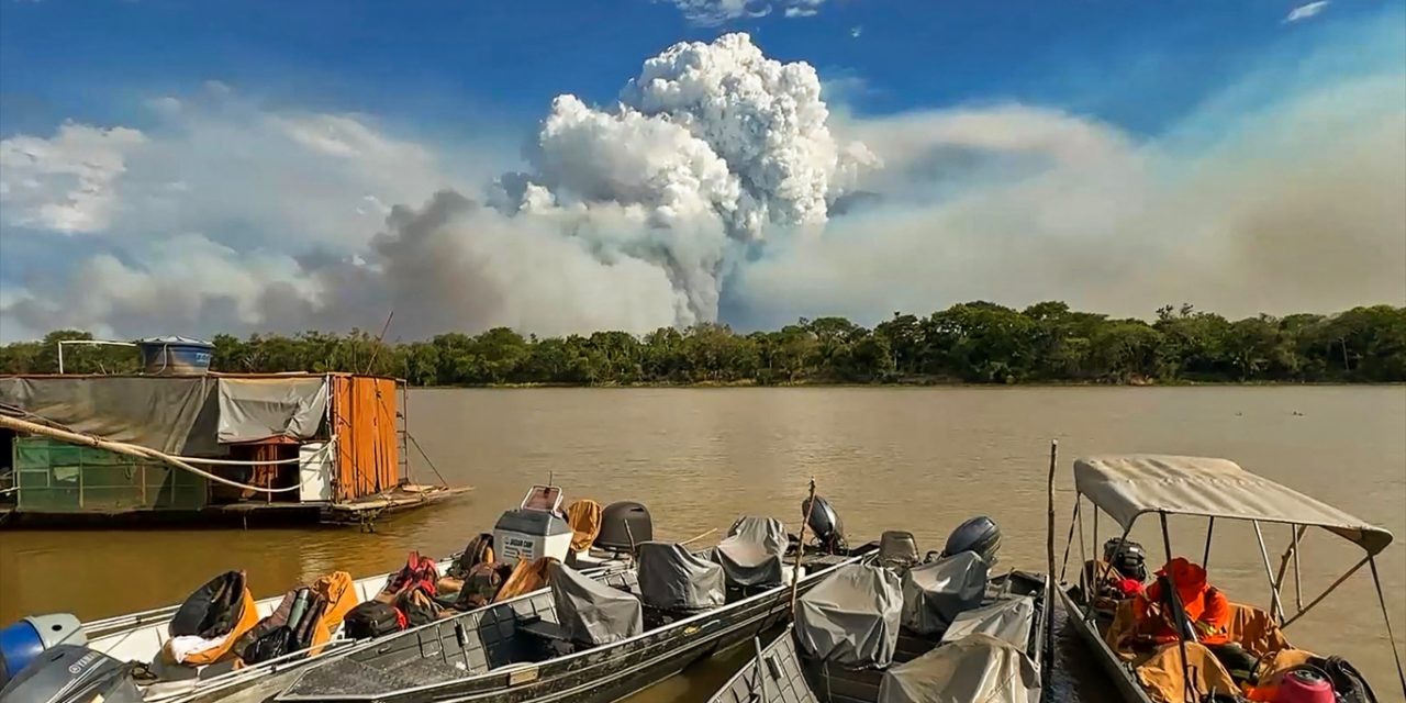 <span class="entry-title-primary">Pantanal vive dias dramáticos com novembro de fogo recorde; veja fotos</span> <h2 class="entry-subtitle">Fogo está fora de controle no Pantanal e bioma está com queimadas doze vezes acima do normal neste mês sob seca e calor sem precedentes</h2>