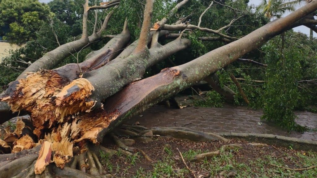 Fotos: destruição e mortes por vento de até 150 km/h em São Paulo