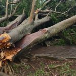 Fotos: destruição e mortes por vento de até 150 km/h em São Paulo