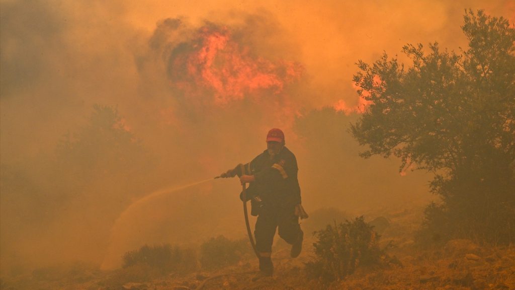 Incêndios florestais batem recorde no mundo em 2023