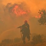 Incêndios florestais batem recorde no mundo em 2023