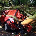 Tempestades severas deixam 18 mortos na Argentina e no Uruguai