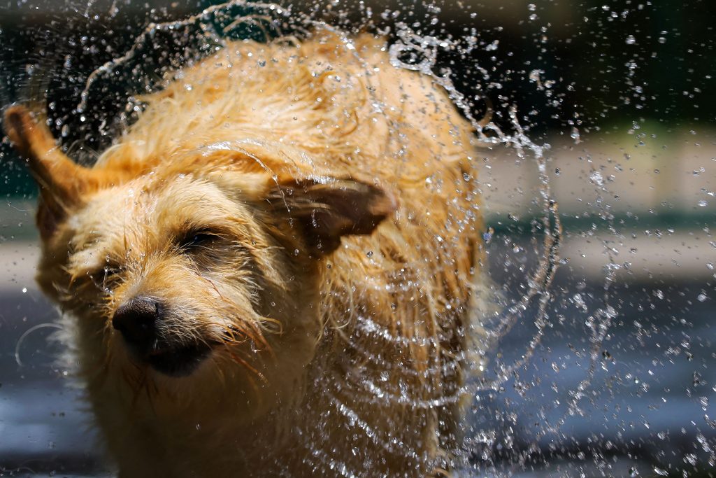 Onda de calor no Rio Grande do Sul: até quando vai o calorão?