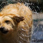 Calor tórrido na primeira tarde de outono no Sul do Brasil