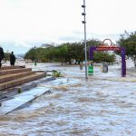 Porto Alegre registra o ano mais chuvoso em meio século