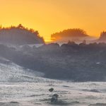 Fotos: geada cobre campos no Sul do Brasil em pleno 27 de dezembro