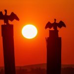 Onde o calor aumenta e diminui nesta quarta no Rio Grande do Sul