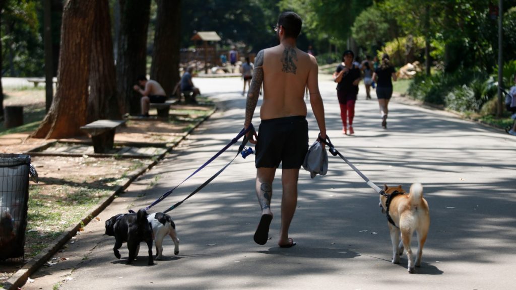 São Paulo registra o maior calor em dezembro em 25 anos