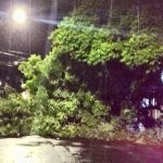 Porto Alegre tem noite de pavor com temporal violento e destrutivo