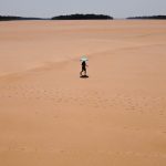 Seca e desmatamento aproximam Amazônia do ponto de não retorno