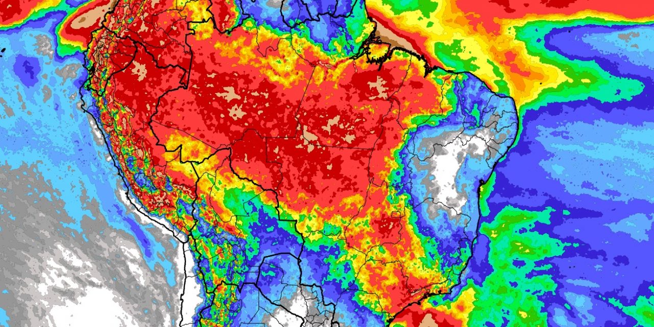 <span class="entry-title-primary">Veja onde chove muito na primeira semana de fevereiro</span> <h2 class="entry-subtitle">Primeira semana de fevereiro terá chuva escassa no Sul enquanto no Centro e no Norte do Brasil os volumes podem ser altos </h2>