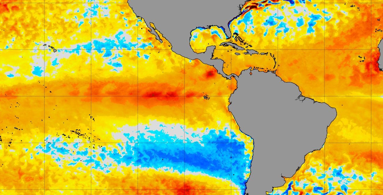 <span class="entry-title-primary">El Niño segue com intensidade forte e perto do pico na metade de janeiro</span> <h2 class="entry-subtitle">Mais recentes dados da agência de tempo e clima dos Estados Unidos mostram o El Niño ainda perto do seu pico alcançado em novembro </h2>