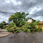 Semana no Rio Grande do Sul terá sol, calor, chuva e tempestades