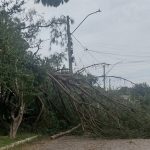 Temporais seguem no Rio Grande do Sul com novos vendavais