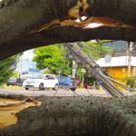 Qual o risco de um novo temporal violento em Porto Alegre neste verão