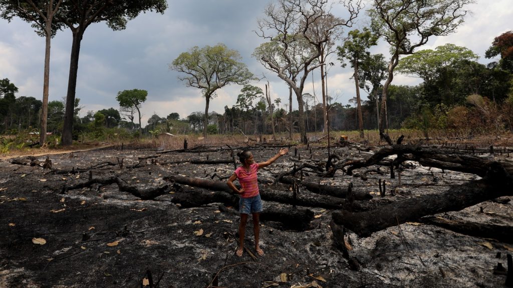 Amazônia registra fevereiro recorde de queimadas