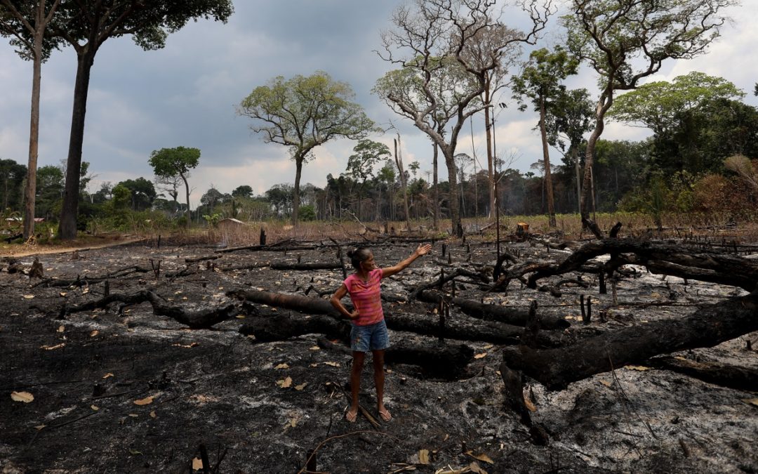 Amazônia registra fevereiro recorde de queimadas Número de queimadas na Amazônia está quase 400% acima da média histórica de focos de calor no bioma do Norte do país