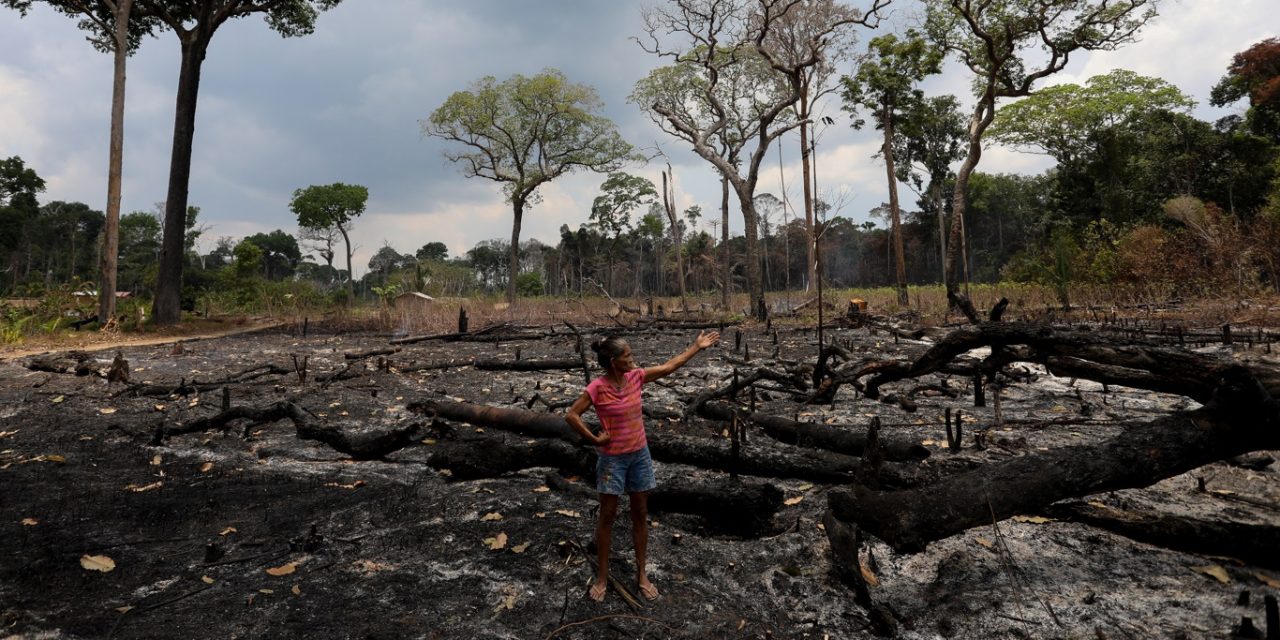 <span class="entry-title-primary">Amazônia registra fevereiro recorde de queimadas</span> <h2 class="entry-subtitle">Número de queimadas na Amazônia está quase 400% acima da média histórica de focos de calor no bioma do Norte do país </h2>