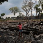 Amazônia registra fevereiro recorde de queimadas