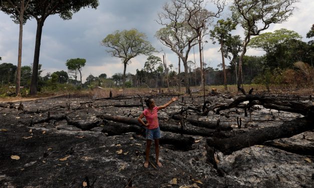 Amazônia registra fevereiro recorde de queimadas